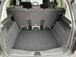 
										Ford C-MAX 1,0 SCTi 125 Titanium+ 5d full									
